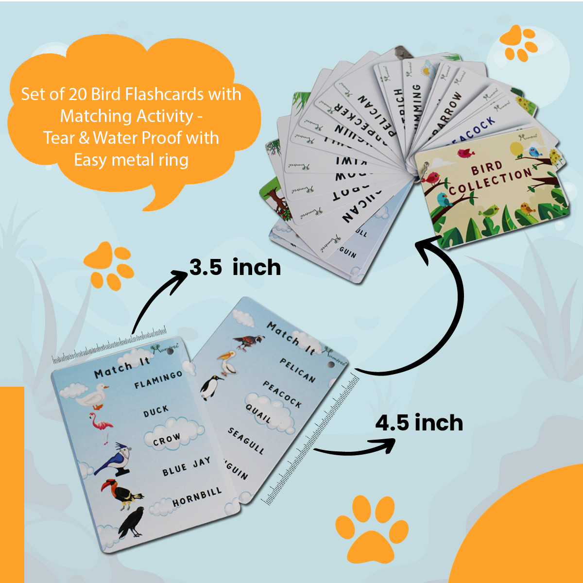 Birds with Flashcards - Mumtree Arena Private Limited