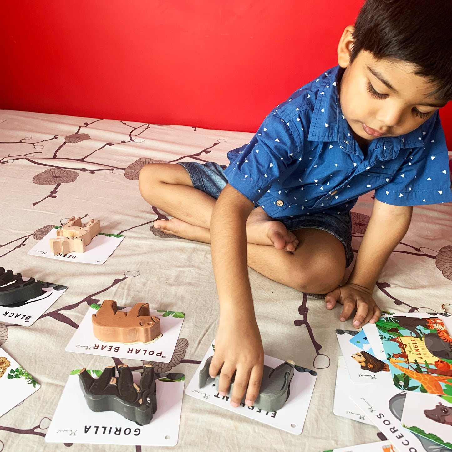 Jungle Animals with Flashcards - Mumtree Arena Private Limited