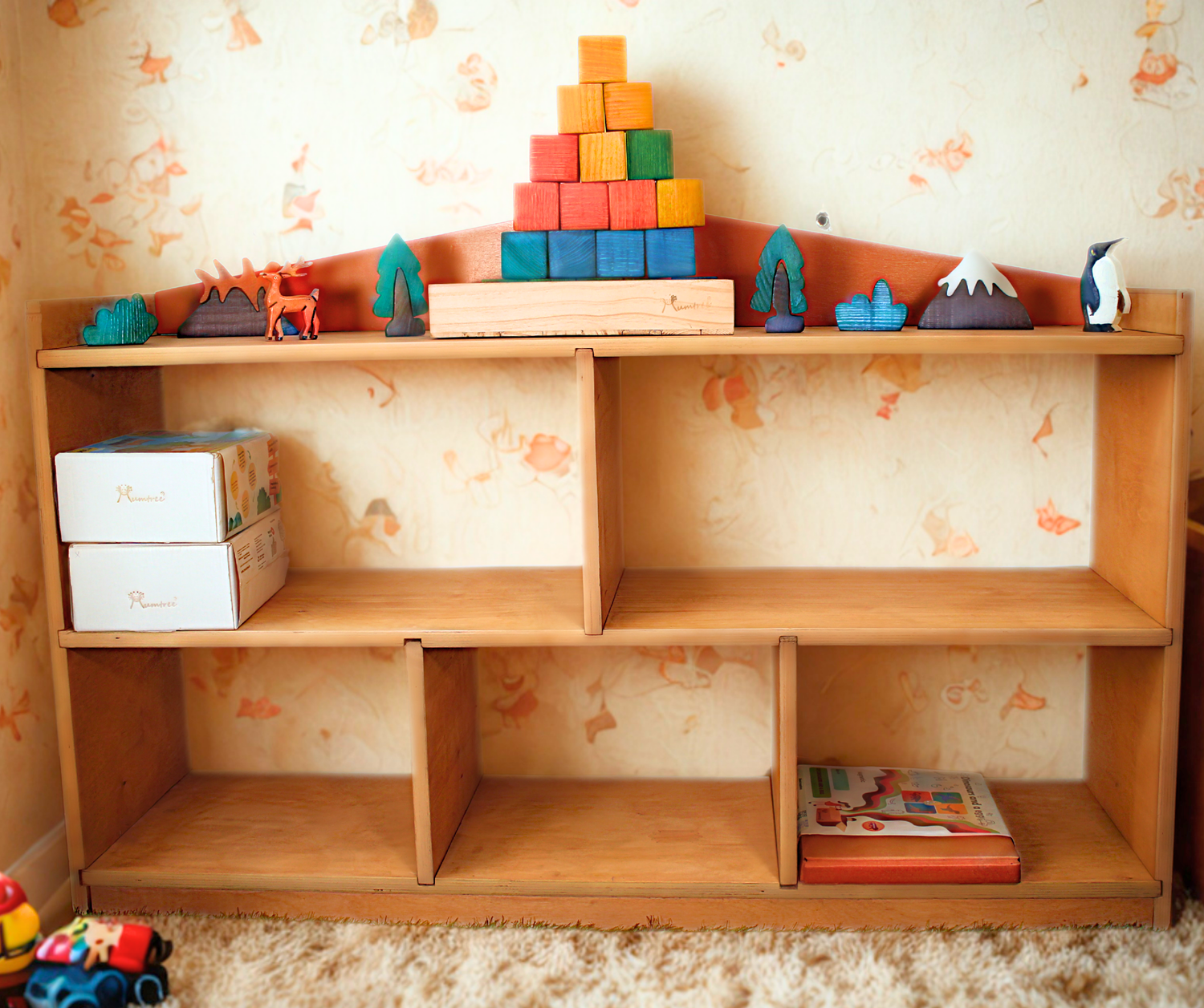Shelf & Storage