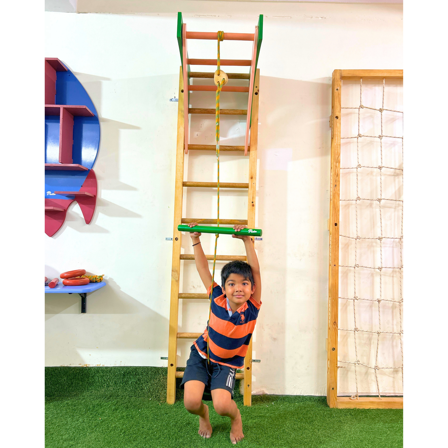 Ladder Gym with Swings