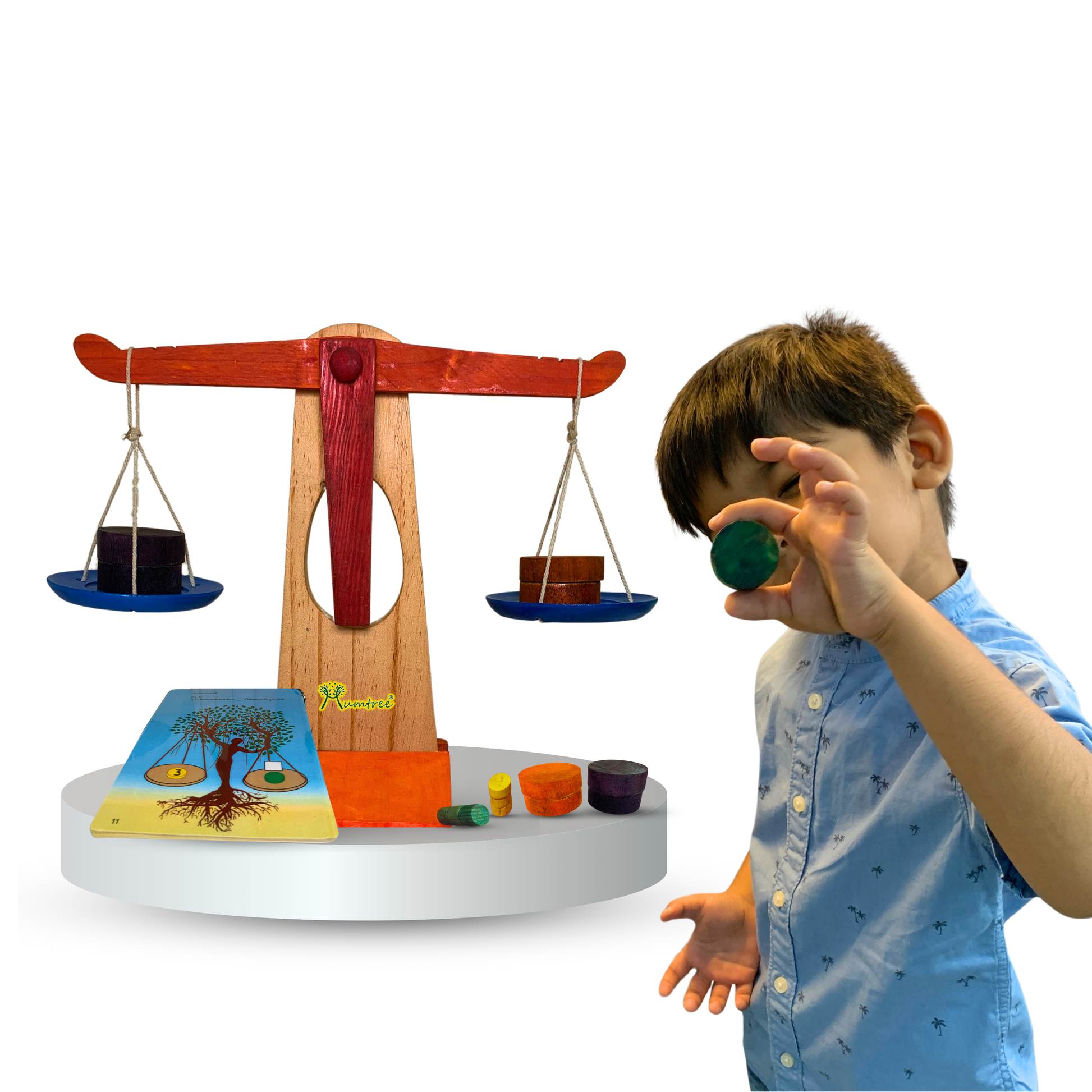 Balancing Tree - Mumtree Arena Private Limited