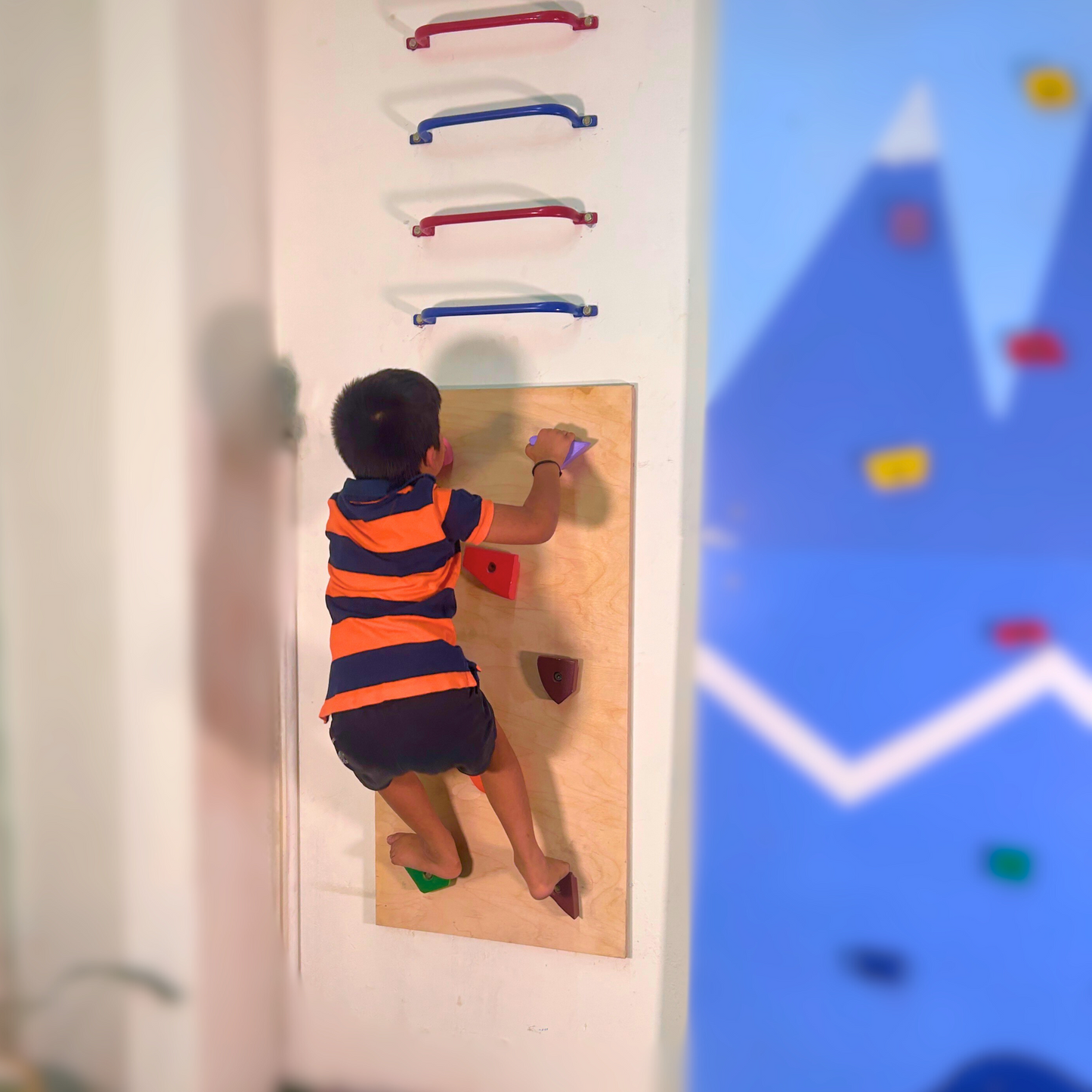 Wooden Climbing Panel