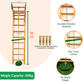 Ladder Gym with Swings