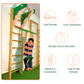 Ladder Gym with Swings