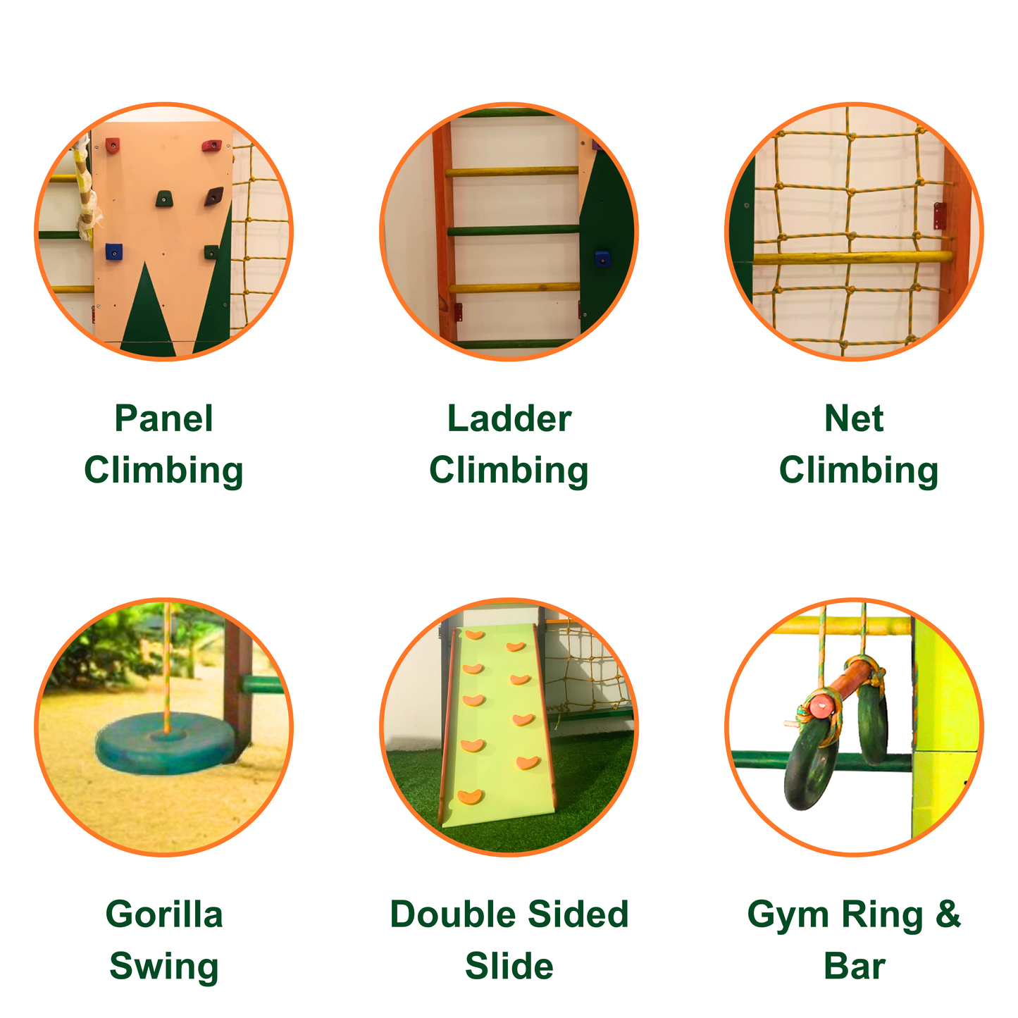 Jungle Wall Gym