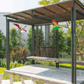 Flying Bird - Large - Mumtree Arena Private Limited