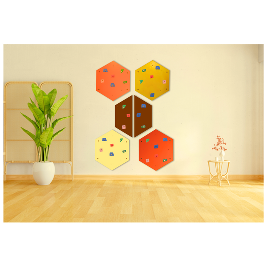 Honeybee Climbing Panel