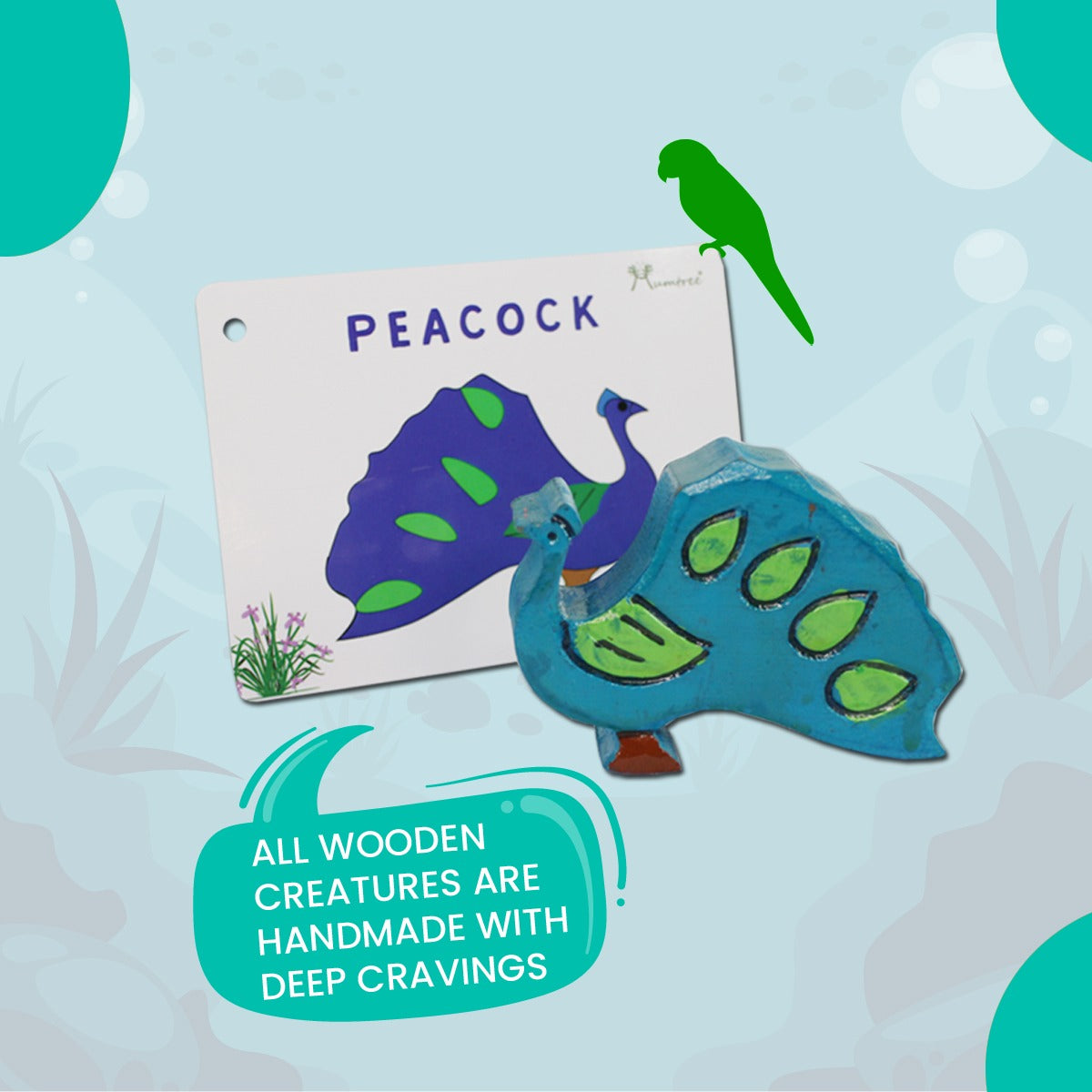 Birds with Flashcards - Mumtree Arena Private Limited