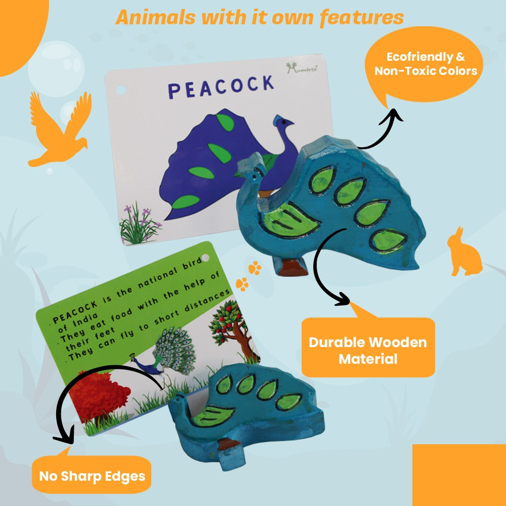 Birds with Flashcards - Mumtree Arena Private Limited