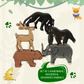 Jungle Animals with Flashcards - Mumtree Arena Private Limited
