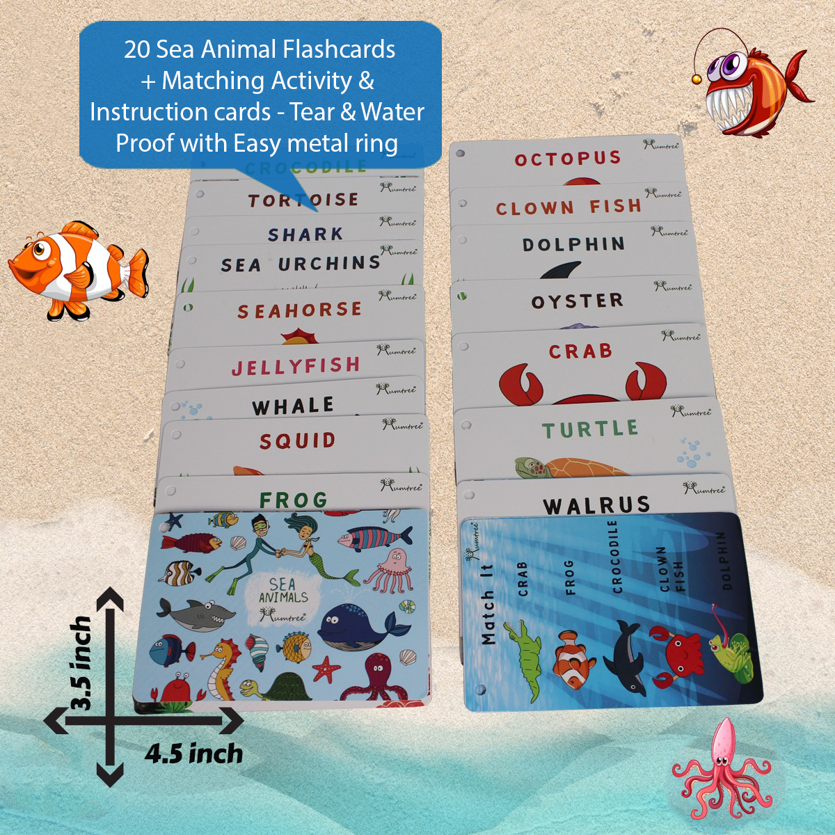Sea Animals with Flashcards - Mumtree Arena Private Limited