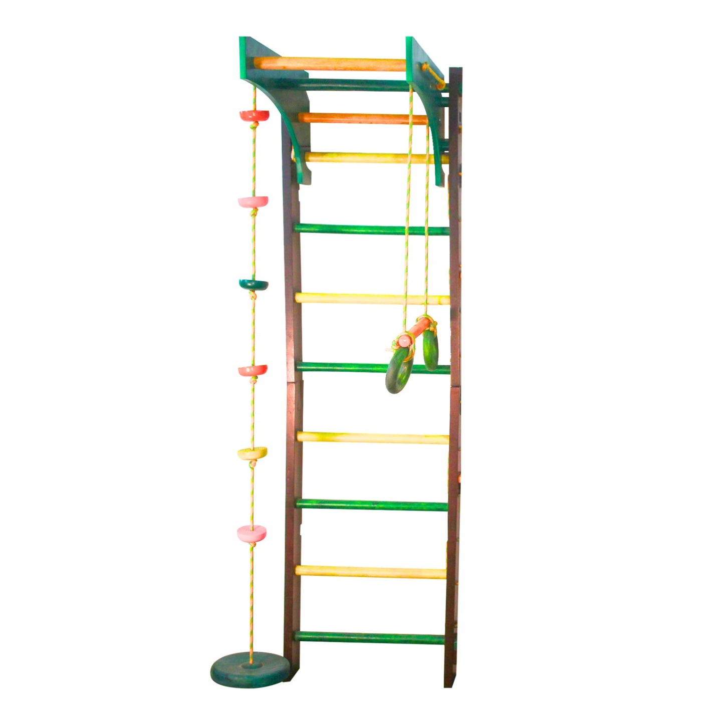 Ladder Gym with Swings