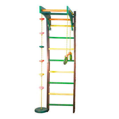 Ladder Gym with Swings