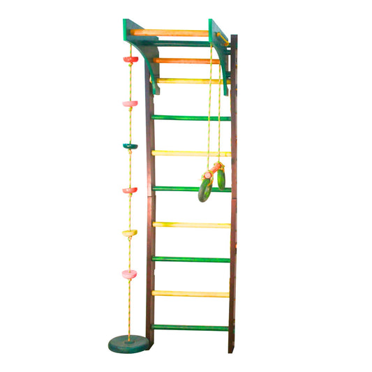Ladder Gym with Swings