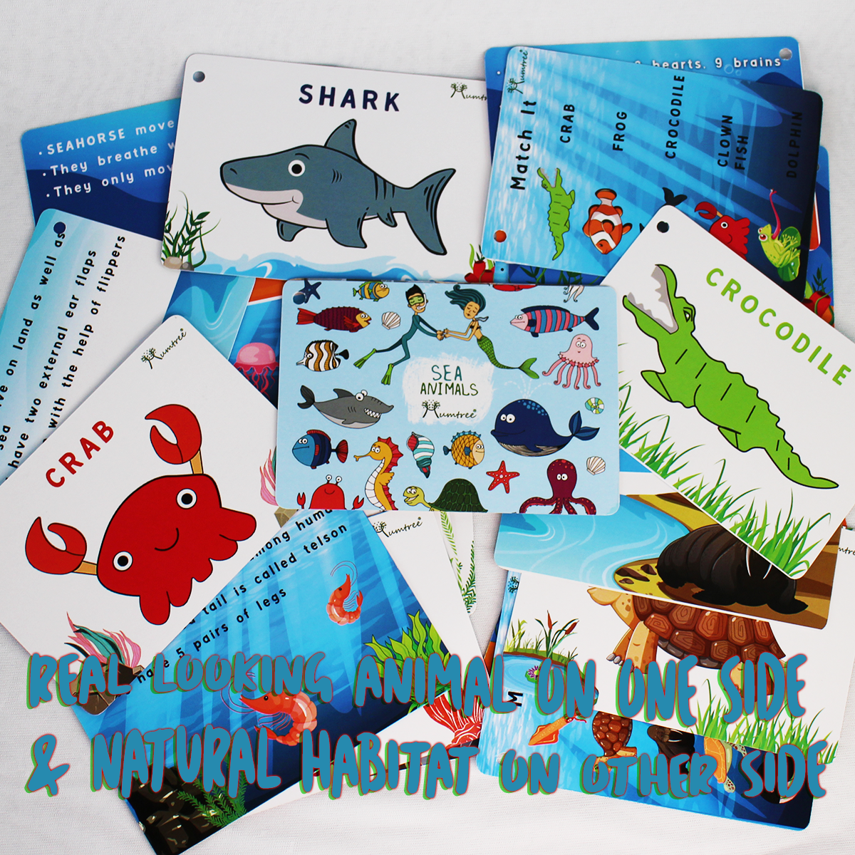 Sea Animals with Flashcards - Mumtree Arena Private Limited