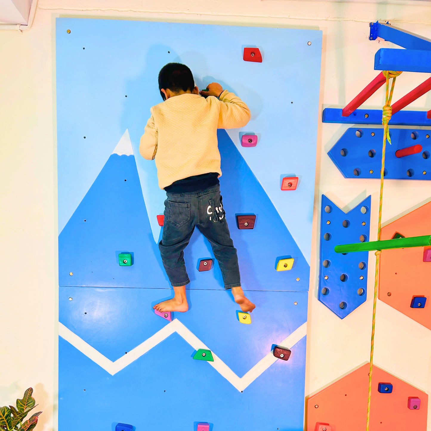 Mountain Climbing Panel