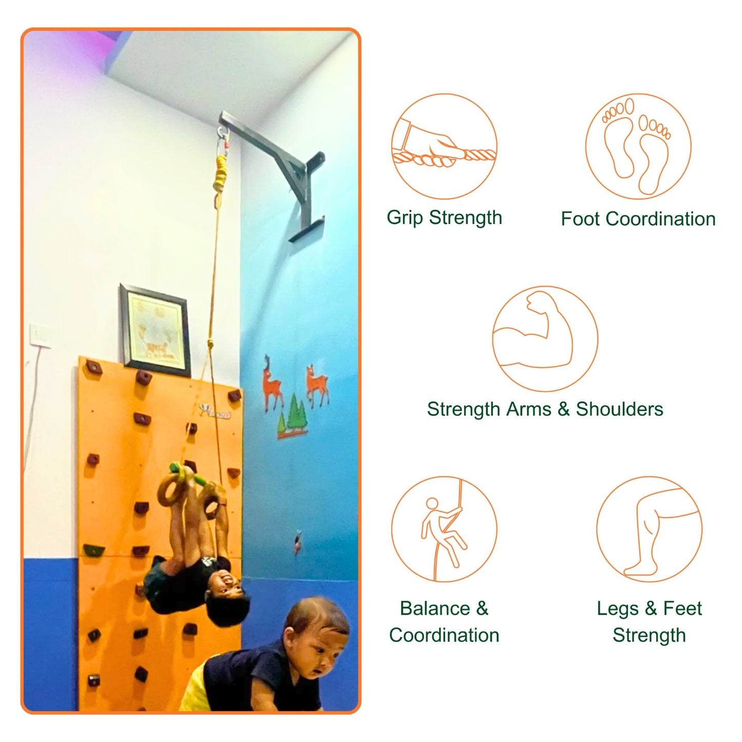 Gym Ring & Bar - Mumtree Arena Private Limited