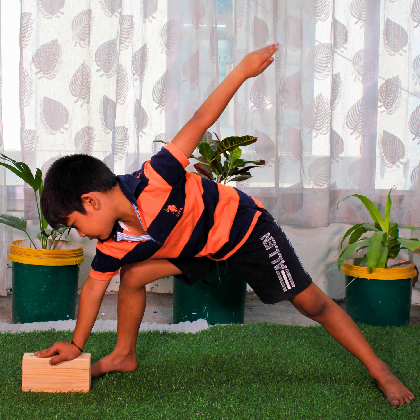 Yoga Bricks