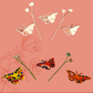 Butterflies & Flowers - Mumtree Arena Private Limited