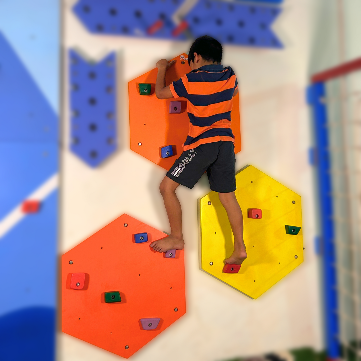 Honeybee Climbing Panel